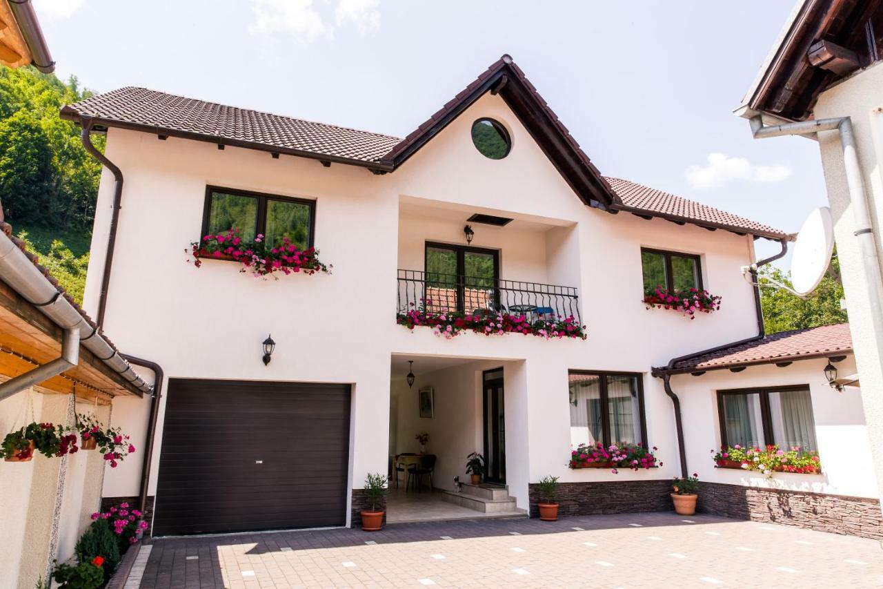 Vila Rodica Transalpina Şugag 외부 사진