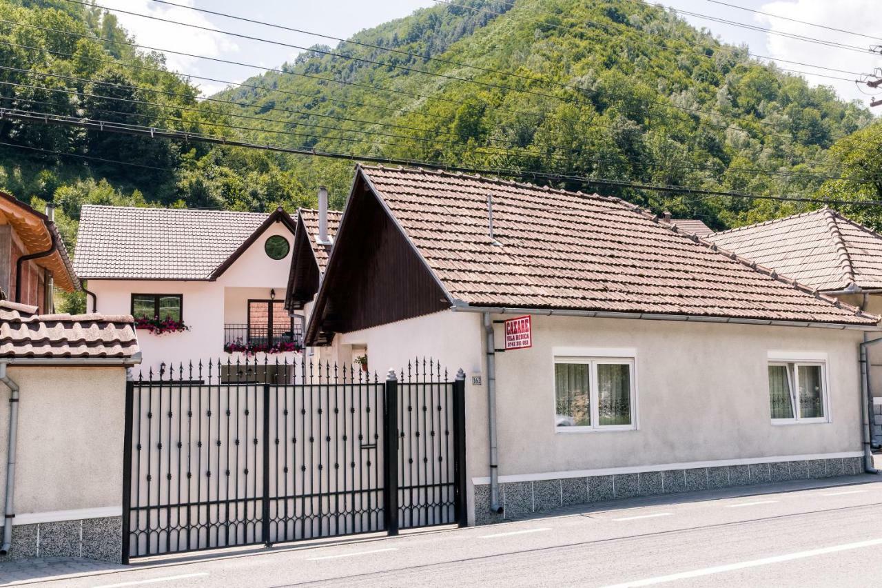 Vila Rodica Transalpina Şugag 외부 사진
