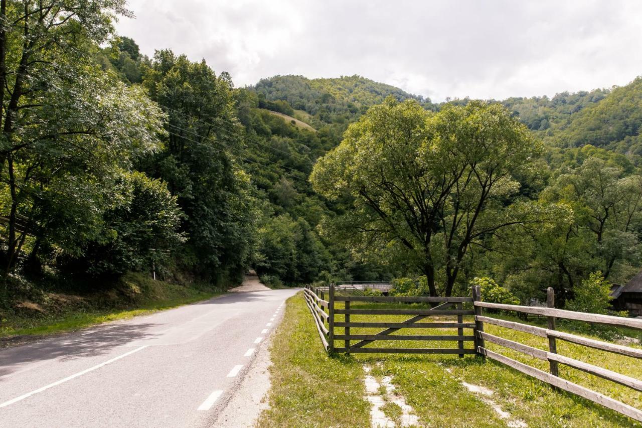 Vila Rodica Transalpina Şugag 외부 사진