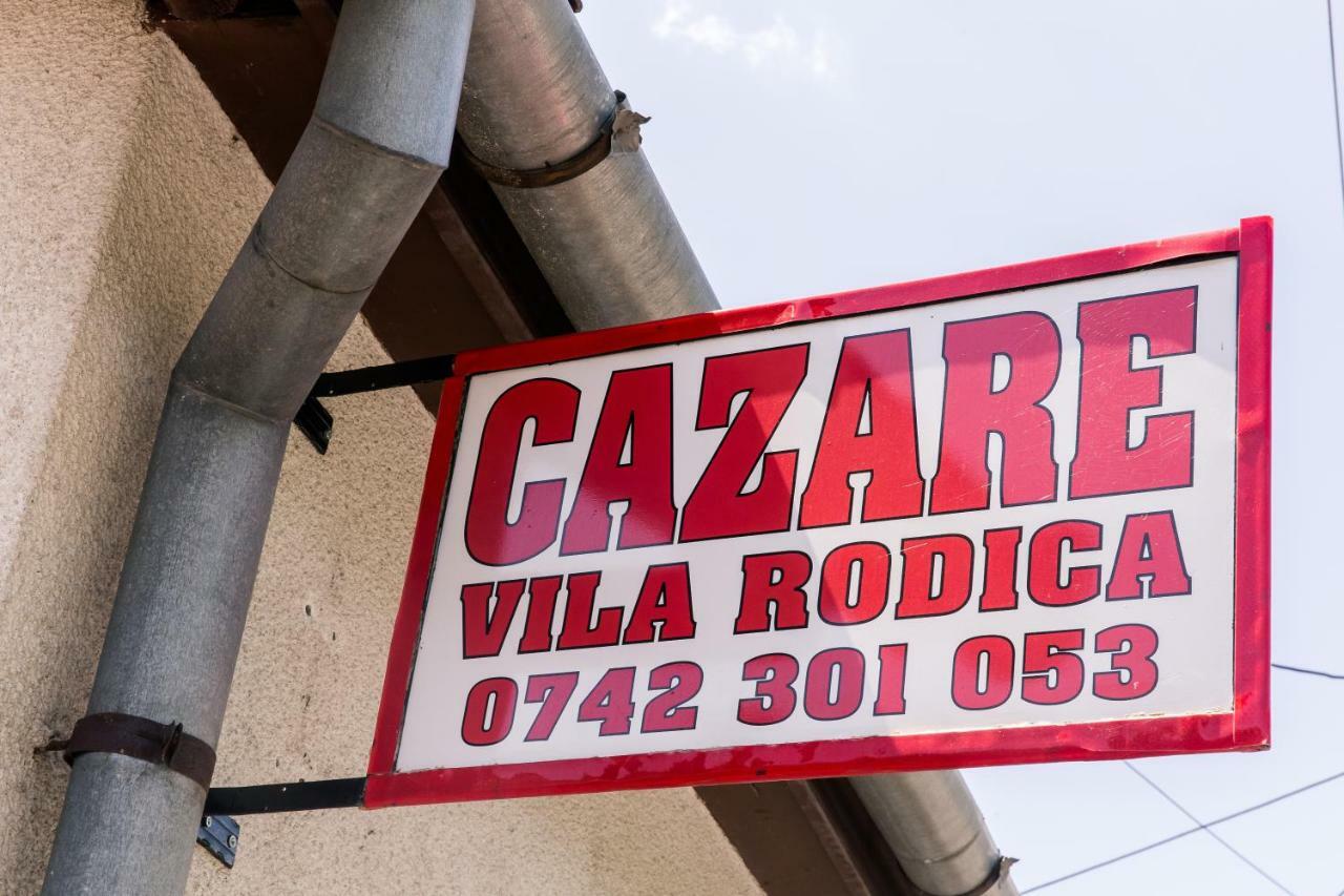 Vila Rodica Transalpina Şugag 외부 사진