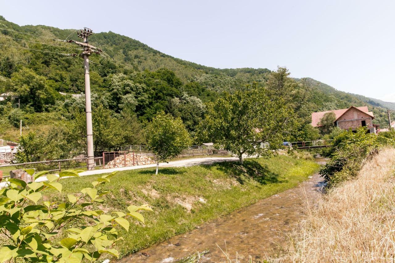 Vila Rodica Transalpina Şugag 외부 사진